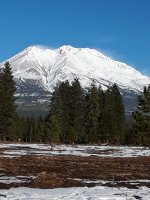 mts.jpg