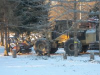 tree clearing day 3 002_1.JPG