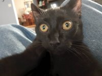20201221_182723.jpg