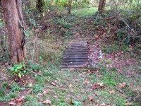 Crossings Oct 2020 (4).JPG