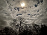 IMG_7480.JPG