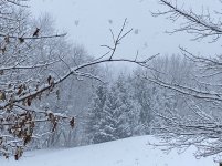 IMG_8481.JPG