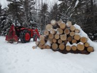 SpruceAndFir.jpg