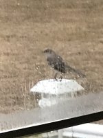 IMG_2051.JPG