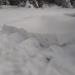 20210207_112924.jpg
