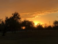 IMG_2655.jpg