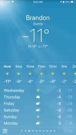 Forecast week 2-9.jpg