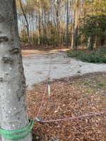 IMG_4426.jpeg IMG_4426.jpeg