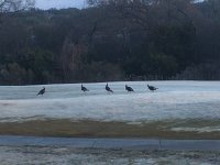 IMG_4235.JPG