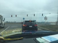 owl lic plate.JPG