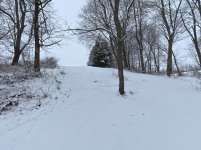 IMG_8551.JPG