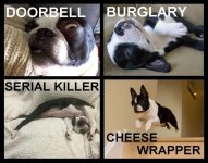 Cheese wrapper.jpeg