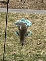 IMG_1037.JPG