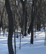 thumbnail2.jpg