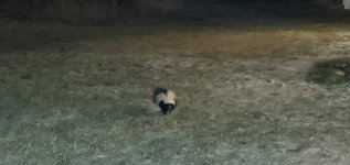 20210213_184333.jpeg