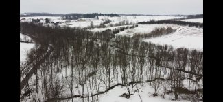 IMG_8603.JPG