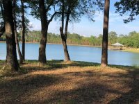 Lake.jpg