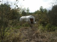 shed3.JPG