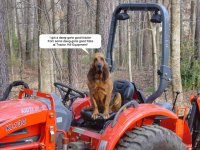 Peaches-Tractor].jpg