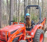 Peaches-Tractor5.jpg