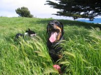 888436-Rudy.jpg