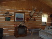 Resized_Cabin 001.jpg