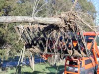 889108-grapple004.jpg