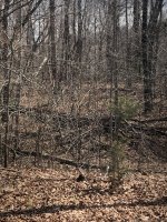 DFE9368F-B7F4-49B4-9D1F-00A6C294EE6D.jpeg
