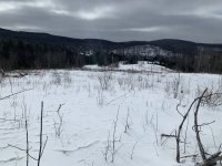 2C08918F-30C9-4570-B8D3-680E24126E5D.jpeg