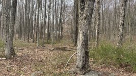 C7D2E864-FF09-4E5F-BBAD-D5151A152628.jpeg