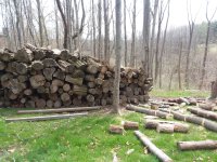 Resized_20210410_133812_2016.jpeg