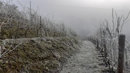 20210117_101736.jpg