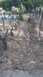 IMG-20210407-WA0048.jpeg