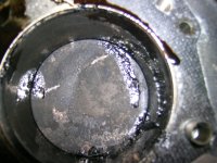 DSCN8557.JPG