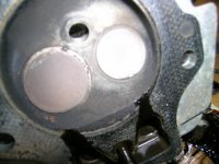 DSCN8559.JPG