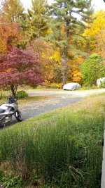 IMG_20161017_125150612.jpg