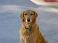 Eli portrait condensed.jpg