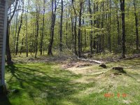 DSC09800.jpg