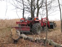 wood cutting 2011 060.jpg