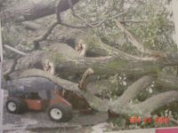 319890-pt8.JPG