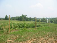 8-175653-DeerFence.jpg