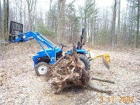33-119779-Stump.jpg
