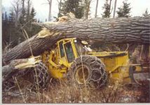 6-49955-Skidder_ROPS.jpg