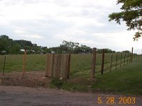 271963-_FencingPasture5_28_03 009.jpg