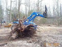 33-213565-Bigger_Stump.jpg