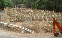 272685-vineyard2.jpg