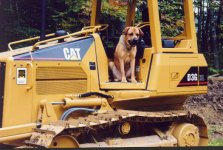 321261-dgcat3.JPG