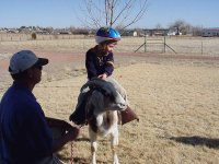 8-177613-In_the_Saddle.jpg