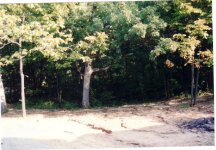 33-121946-Image002.jpg