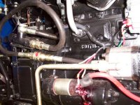 321597-DCP_0024.JPG